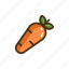 carrot, vegetable, vegetables 