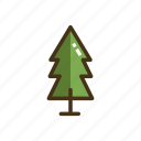 fir, tree, christmas tree, fir tree, forest, nature