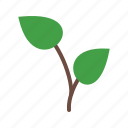 green, growing, nature, plant, seedling, tree, young