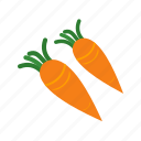 carrot, carrots, food, fresh, leaf, nature, red