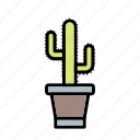 cactus, plant, pot