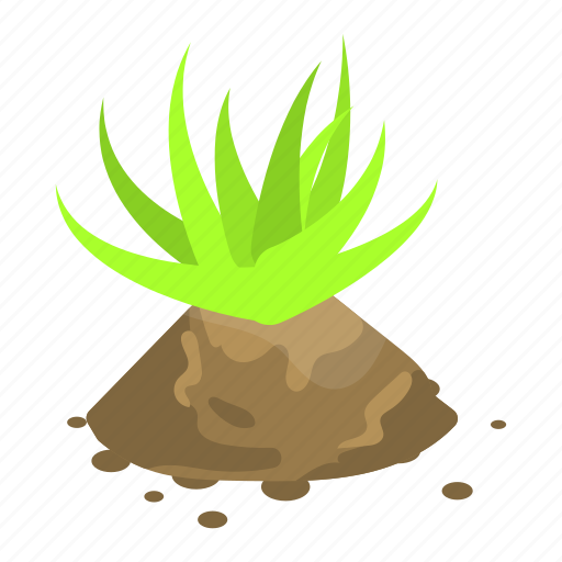 Aloe, cartoon, isometric, logo, medical, plant, vera icon - Download on Iconfinder