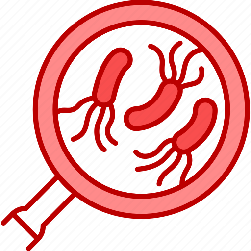 Analysis, parasites, magnifier icon - Download on Iconfinder