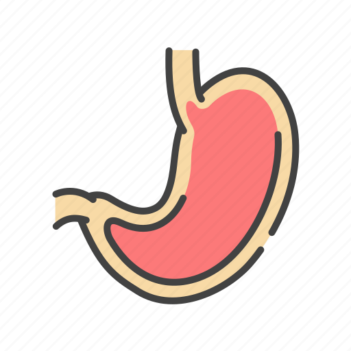 Anatomy, disease, gastroenterology, organ, stomach icon - Download on Iconfinder