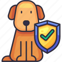 pet insurance, pet, dog, puppy, animal, insurance, coverage, protection, shield