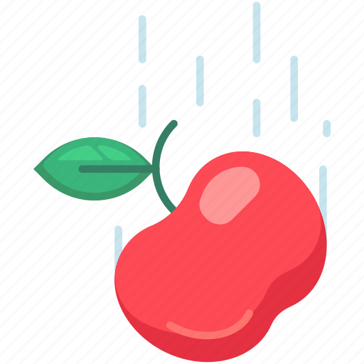 Gravity, apple fruit, physics, falling, theory, science, technology icon - Download on Iconfinder
