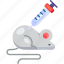 mouse, rat, experiment, syringe, laboratory, science, technology, future, lab 