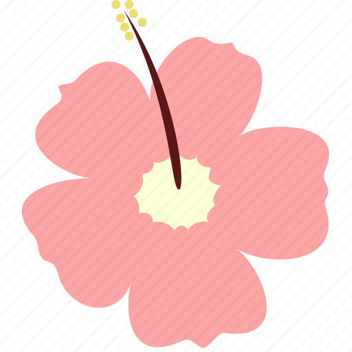 Decoration, floral, flower, hibiscus, nature, plant icon - Download on Iconfinder