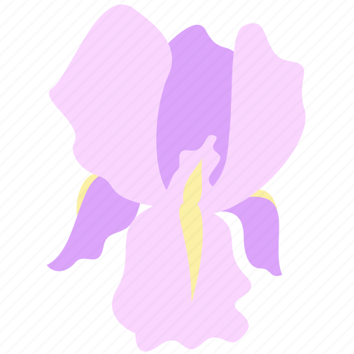 Flower, iris, decoration, floral, nature icon - Download on Iconfinder