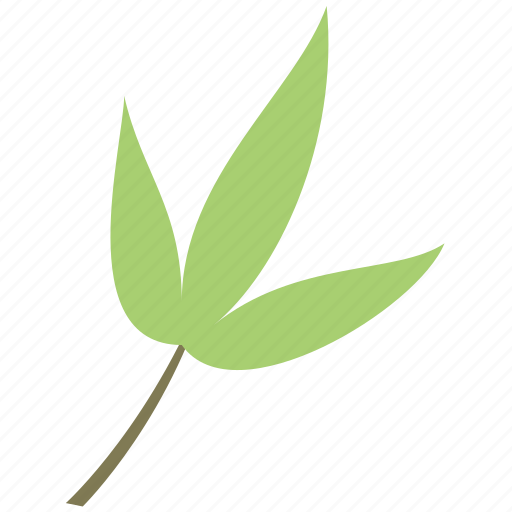 Bamboo, decoration, leaf, nature icon - Download on Iconfinder