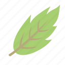 decoration, green, leaf, nature, plant