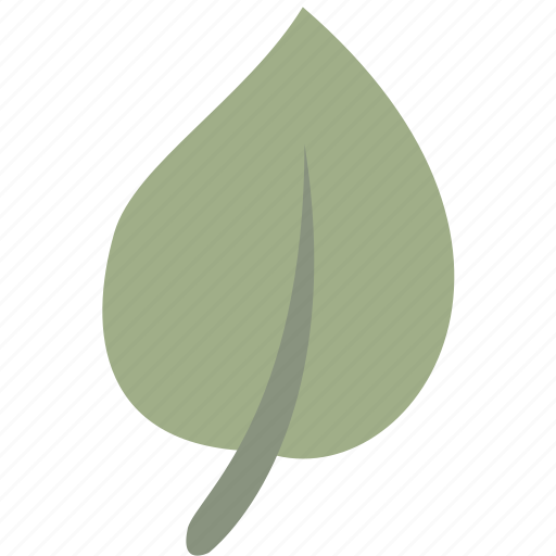 Green, leaf, nature, plant icon - Download on Iconfinder