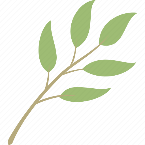 Decoration, leaf, leaves, nature, plant icon - Download on Iconfinder