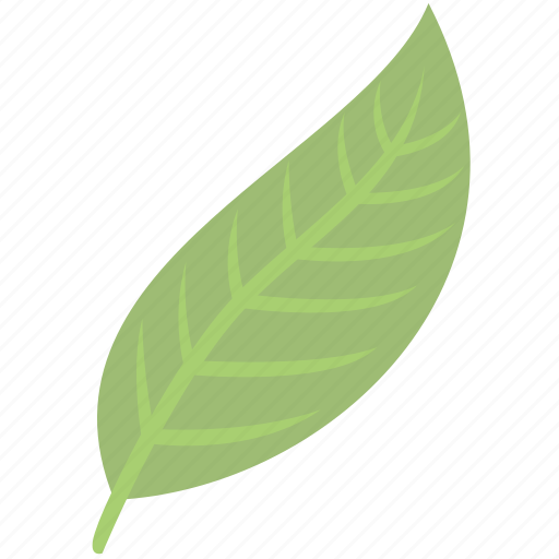 Green, leaf, nature, plant icon - Download on Iconfinder