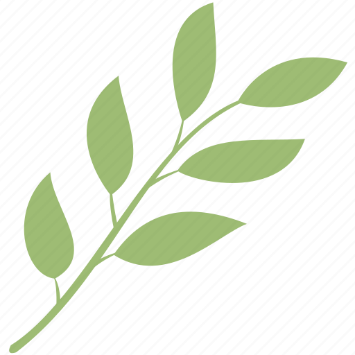 Branch, decoration, leaf, leaves, nature, plant icon - Download on Iconfinder