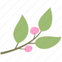 berry, branch, decoration, green, leaf, leaves