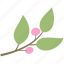 berry, branch, decoration, green, leaf, leaves 