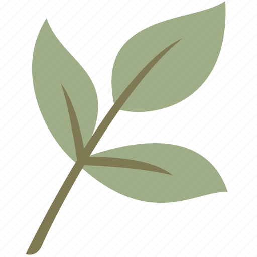 Branch, green, leaf, leaves, nature icon - Download on Iconfinder