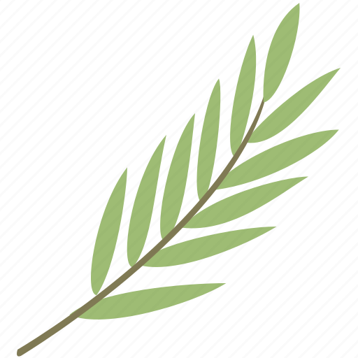 Bamboo, branch, green, leaf, leaves icon - Download on Iconfinder