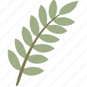 branch, green, leaf, leaves, nature