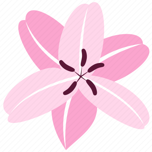 Flower, lily, decoration, floral, nature icon - Download on Iconfinder