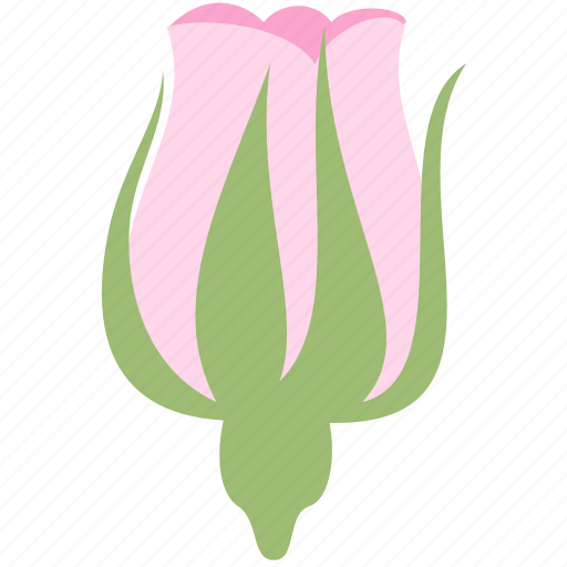 Bud, flower, nature, rose icon - Download on Iconfinder