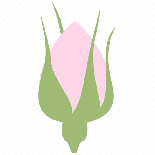 Bud, decoration, floral, flower, nature, rose icon - Download on Iconfinder