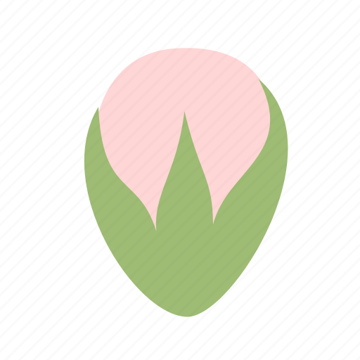 Bud, flower, small, star, floral, nature icon - Download on Iconfinder