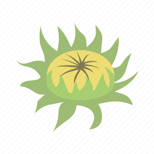 Bud, sunflower, floral, flower, nature icon - Download on Iconfinder