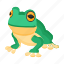 frog, toad, amphibian, bullfrog, rana tigrina 