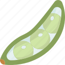 lima, beans, pod, food, agriculture