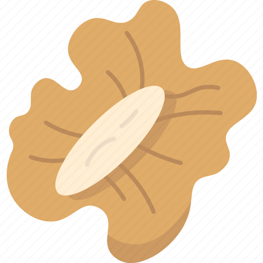 Walnut, nuts, food, kernel, snack icon - Download on Iconfinder