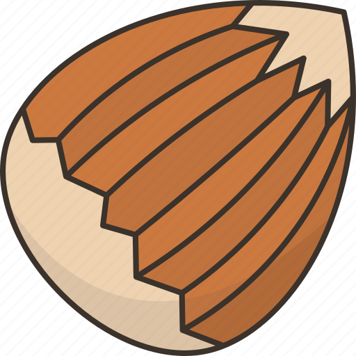 Hazelnut, food, snack, tasty, organic icon - Download on Iconfinder