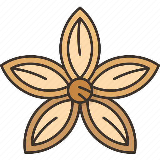 Inca, star, beans, fruit, grains icon - Download on Iconfinder