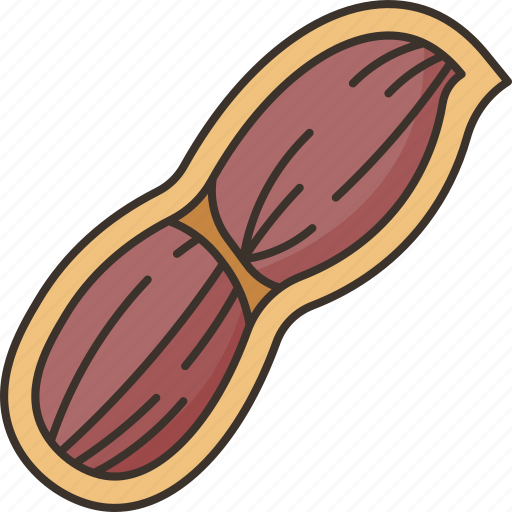 Peanuts, pod, seed, food, nutrient icon - Download on Iconfinder