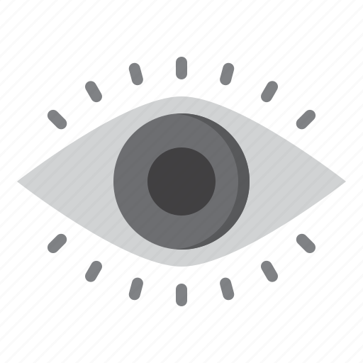 View, eye, graphic, design, vision icon - Download on Iconfinder