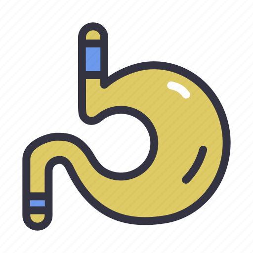 Endoscopy, gastroenterology, stomach, stomachache, doctor, hospital, organs icon - Download on Iconfinder