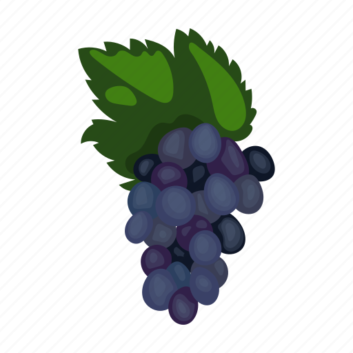Branch, bunch, fruit, grapes icon - Download on Iconfinder