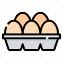 egg, carton, eggs, food, organic, tray, box