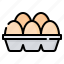 egg, carton, eggs, food, organic, tray, box 