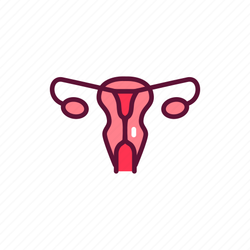 Female, reproductive, system, womb icon - Download on Iconfinder