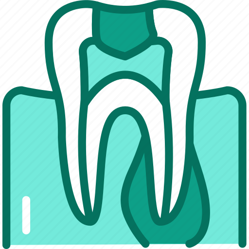 Periodontitis, inflammation, periodontal, disorder icon - Download on Iconfinder