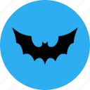 bat, halloween, scary, vampire bat
