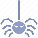 dreadful, fearful, halloween spider, horrible, scary