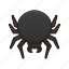 event, halloween, horror, insect, night, scary, spider 