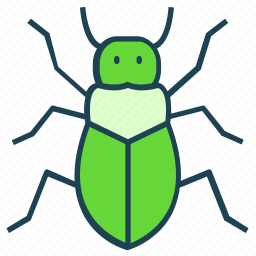 Bug, halloween, insect, scary, spider, spooky icon - Download on Iconfinder