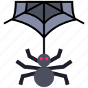 bug, cobweb, halloween, net, scary, spider, web