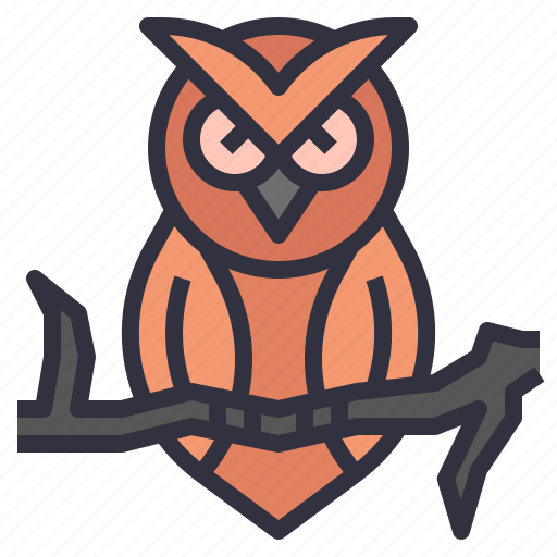 Owl, halloween, bird, animal, wildlife, aves icon - Download on Iconfinder