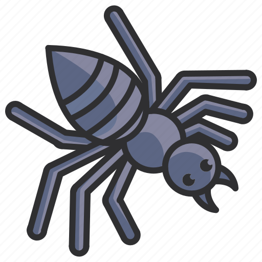 Web, halloween, spider icon - Download on Iconfinder