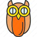 owl, bird, night, nighttime, wisdom, wise